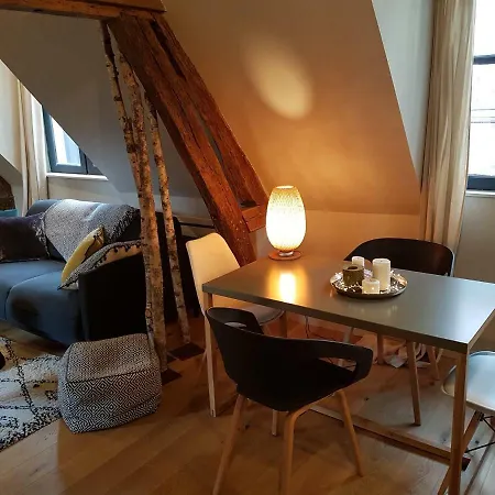 Centre Historique L'authentique Saint Nicolas Ou Le Bourdon De La Cathedrale Apartment *