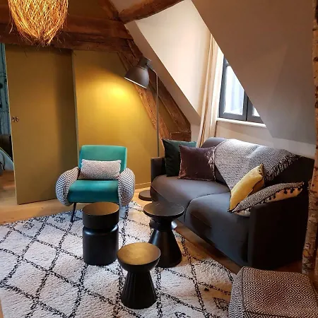 Centre Historique L'authentique Saint Nicolas Ou Le Bourdon De La Cathedrale Apartment *