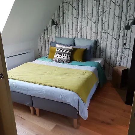 Centre Historique L'authentique Saint Nicolas Ou Le Bourdon De La Cathedrale