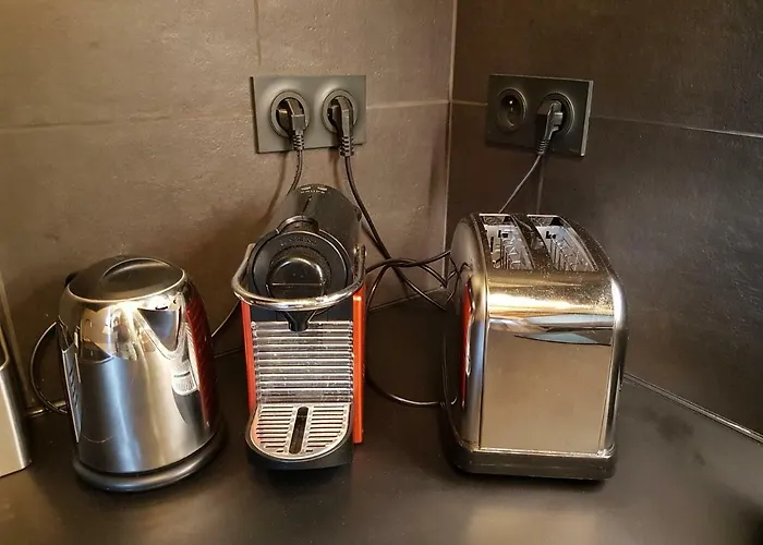 Centre Historique L'authentique Saint Nicolas Ou Le Bourdon De La Cathédrale Appartamento *