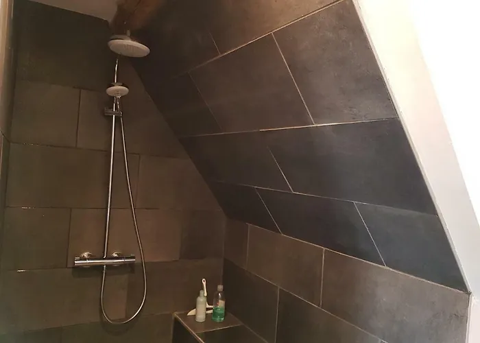 Centre Historique L'authentique Saint Nicolas Ou Le Bourdon De La Cathédrale Appartamento *